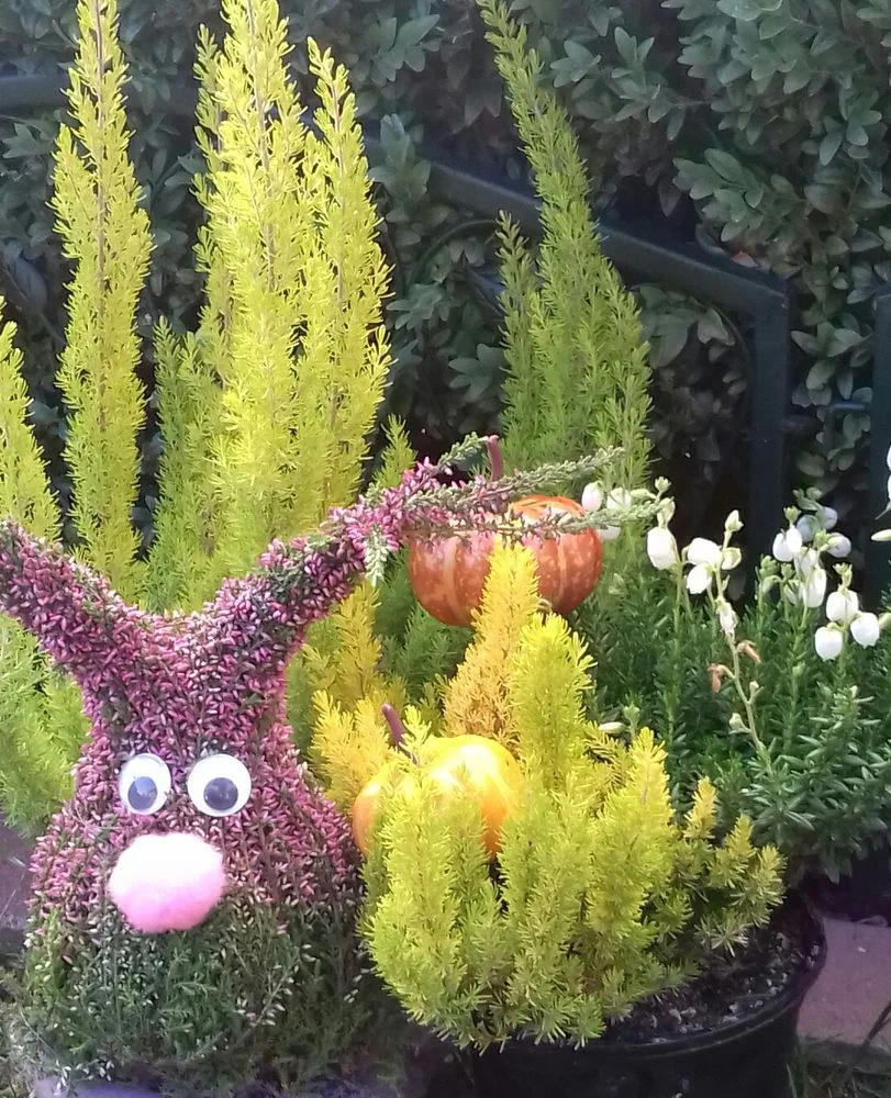 Herbstdekoration mit Kürbissen im Kosmetikstudio Fährmann